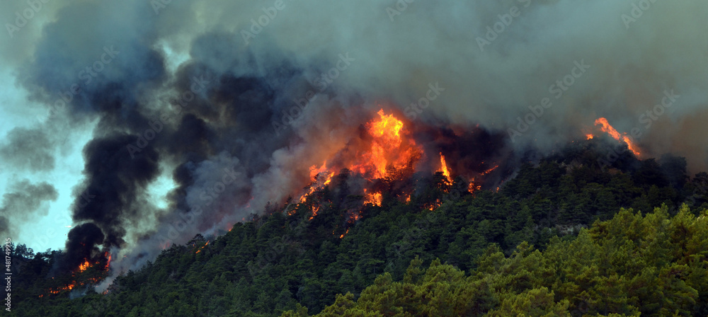 Wildfire in the forest near a resort town.Marmaris, Turkey. Summer 2021 Wildfire in the forest near a resort town.Marmaris, Turkey. Summer 2021