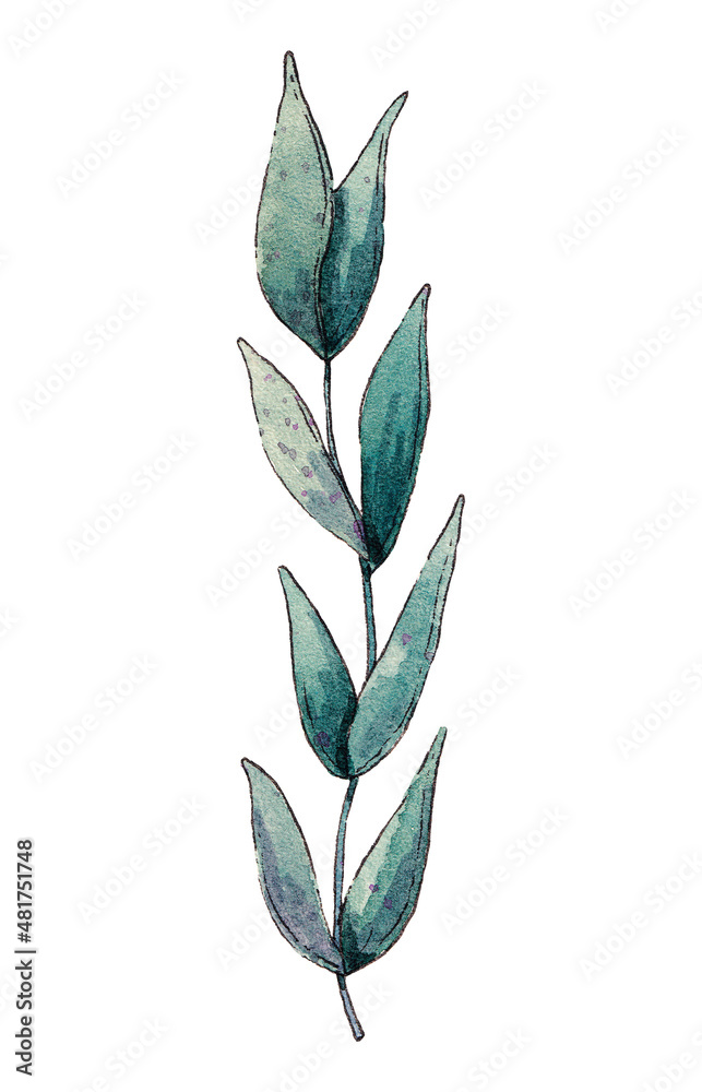 Watercolor green leaf on a white background. Watercolor green leaf on a white background.