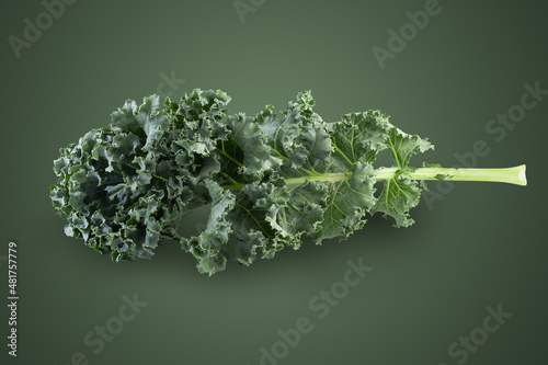 Photography Fresh green leaves of Kale