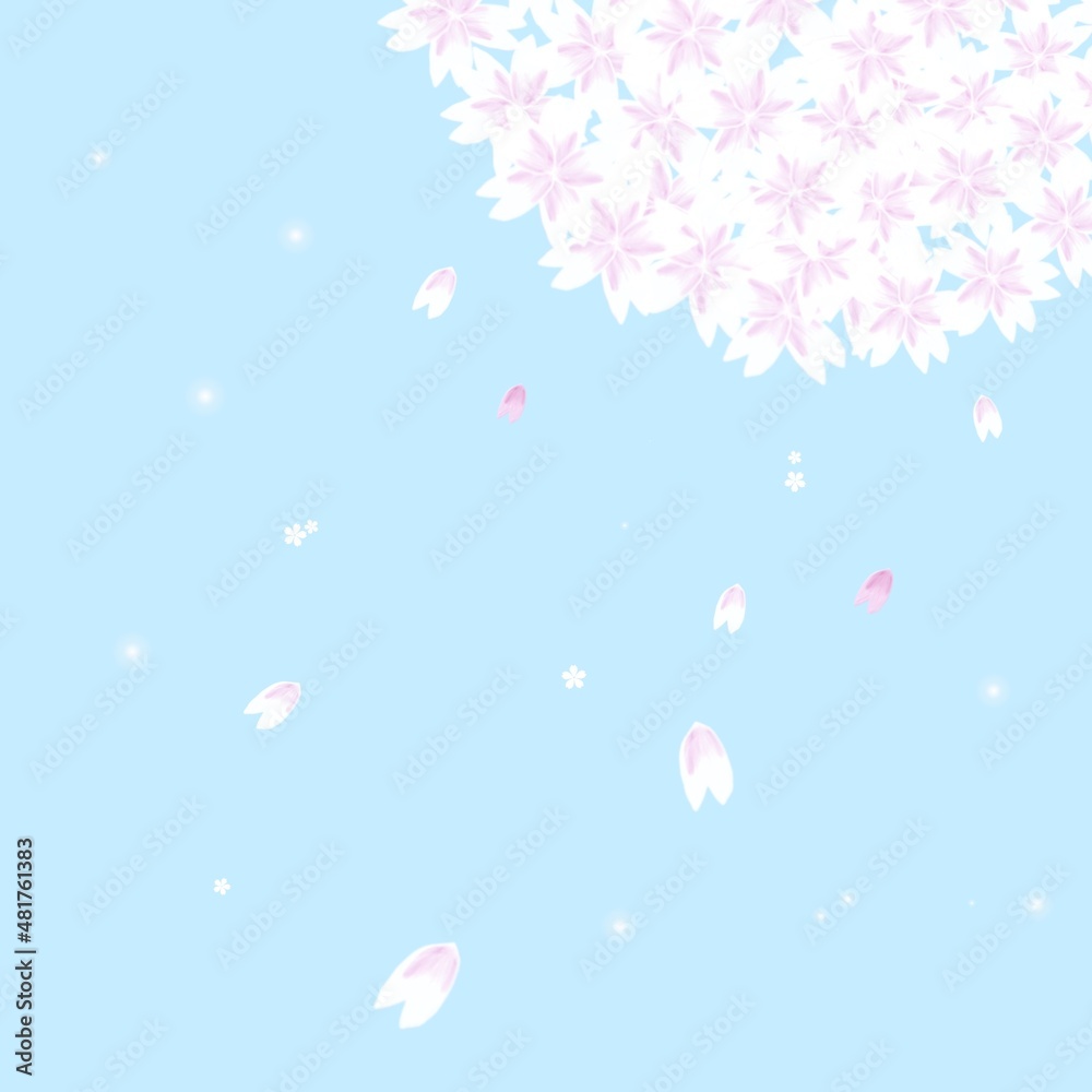 桜　ピンク　満開　舞う　青空　壁紙