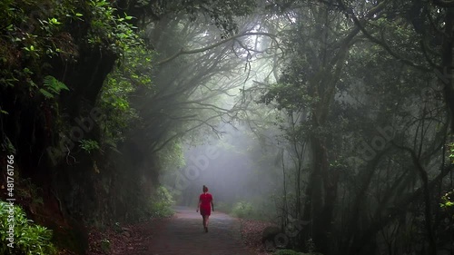 Mystical forest forming a green tunnel of touching trees with shining light and a path that a young woman in a red dress walks fast - Parque Nacional de Garajonay, static shot photo