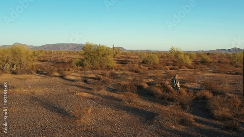 A southwestern desperado man wearing a poncho walks through sagebrush and past towering Saguaro Cacti in the Sonoran Desert at sunset.
