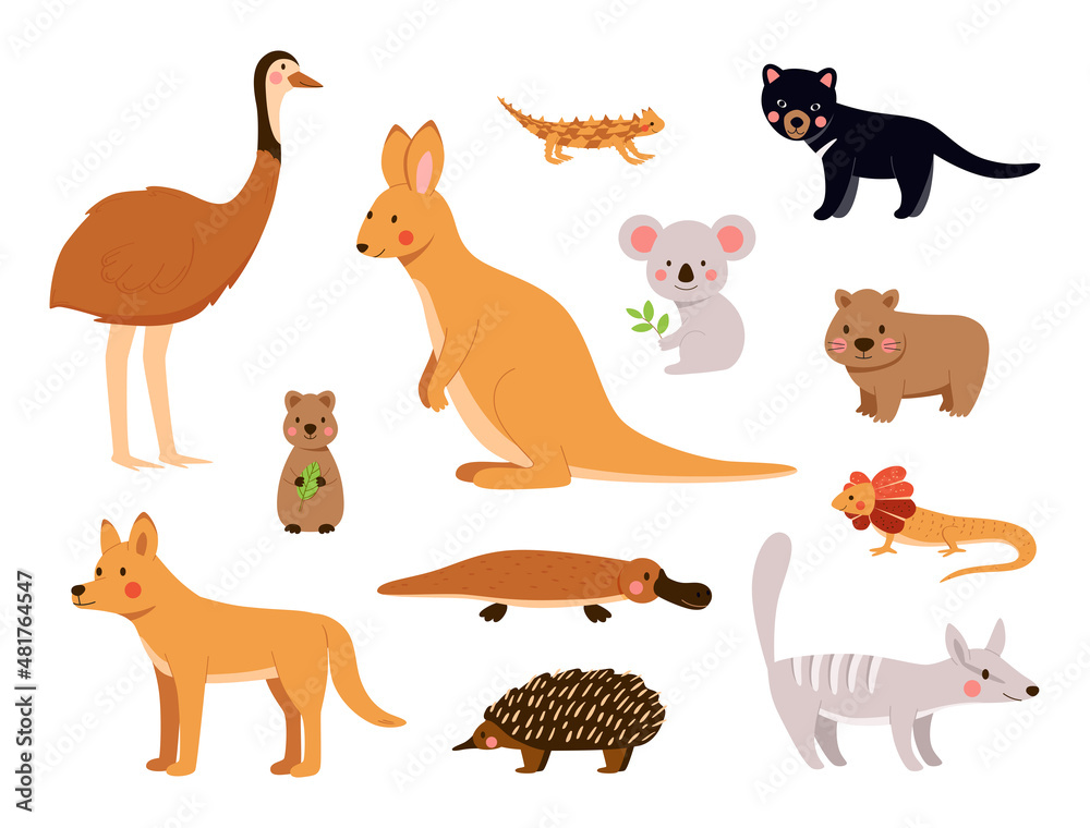Australian animals in cute cartoon vector set