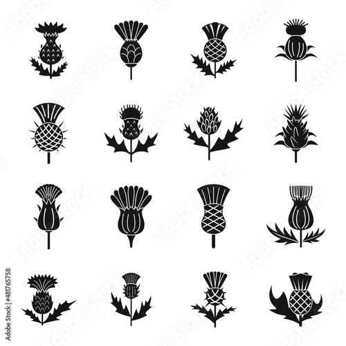 Photo Thistle icons set simple vector. Scottish flower