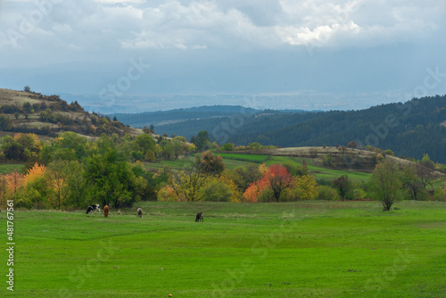 Pasture in the mountains of Bulgaria near the village of Dobrsko.