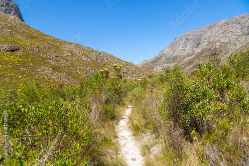 Small Hiking Trail in the Kogelberg, Western Cape of South Africa