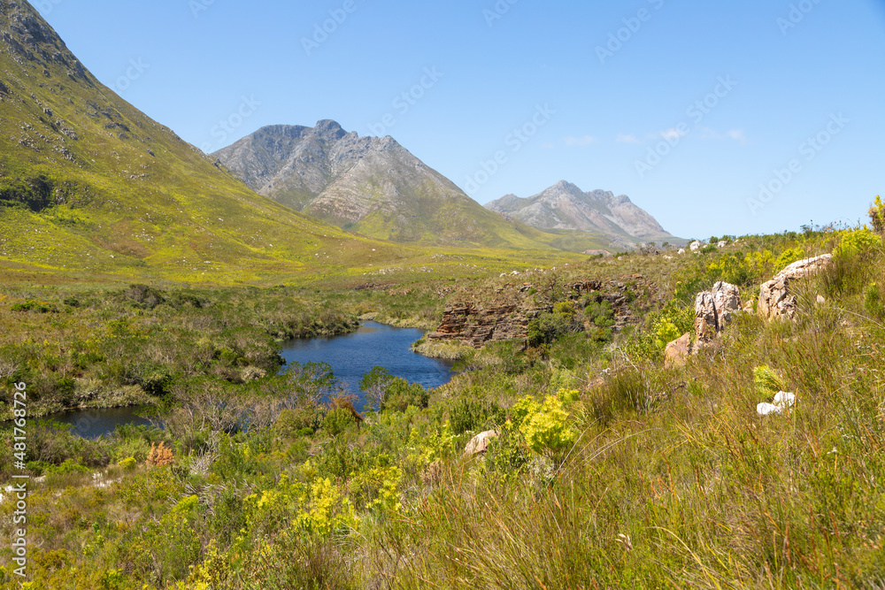 The Kogelberg Nature Reserve with the Palmiet River, Mountains and blue sky on a sunny day in the Western Cape of South Africa