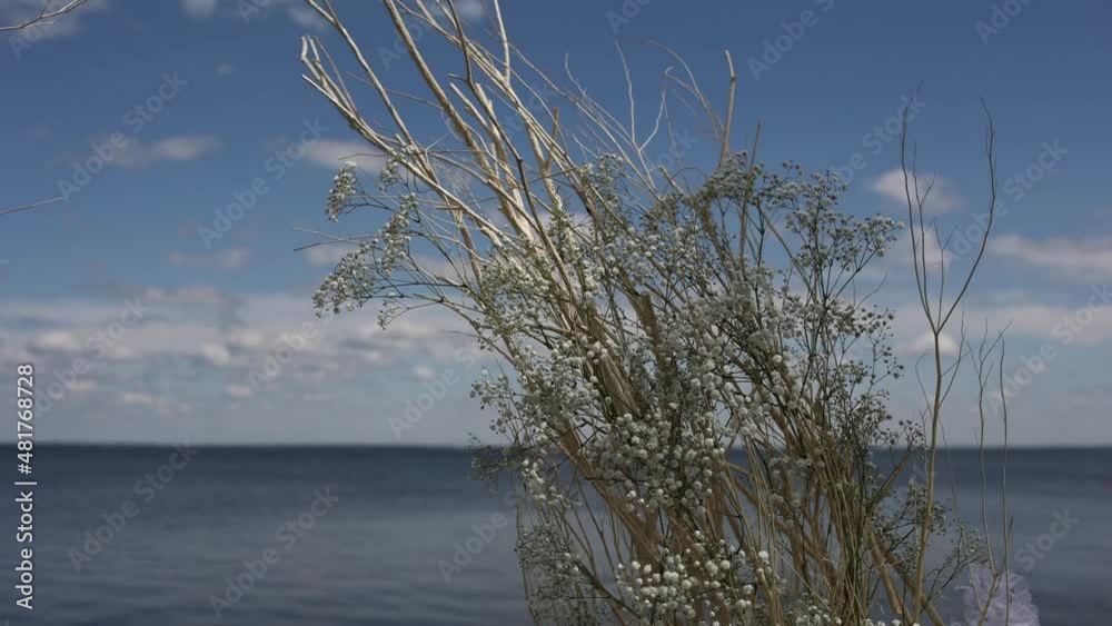 beautiful wedding arch near the sea in summer beautiful wedding arch near the sea in summer