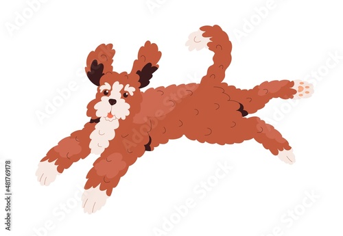 Labradoodle dog running. Happy goldendoodle doggy with curly hair. Canine ani...