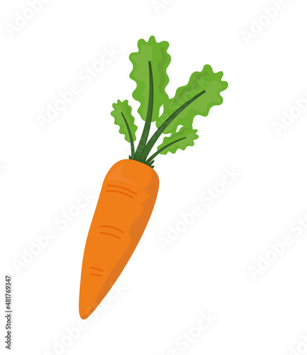 carrot vegetable icon