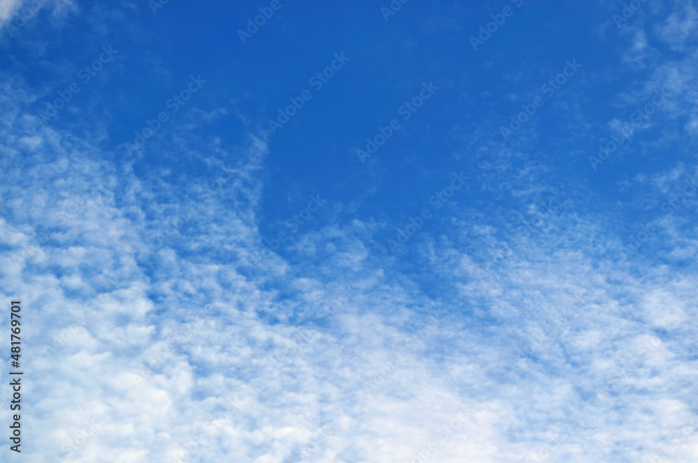 Beautiful White Altocumulus Clouds Scattered on Vibrant Blue Sky Beautiful White Altocumulus Clouds Scattered on Vibrant Blue Sky