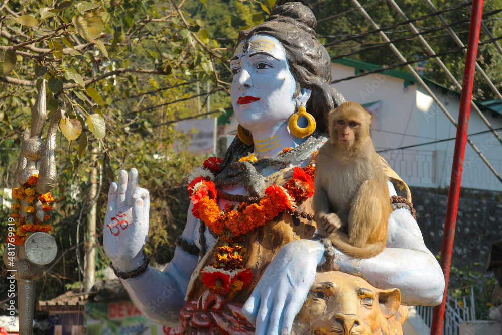 Sculpture of Shiva and monkey in Rishikesh, India. Stock Photo | Adobe ...