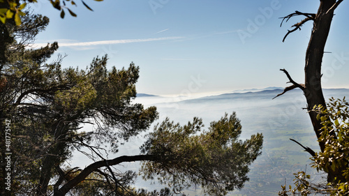Umbrian landscape with fog