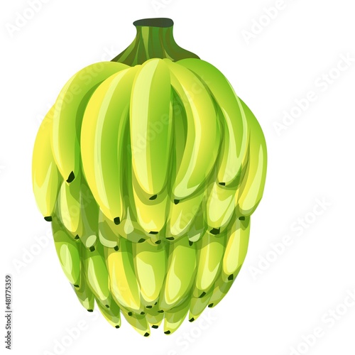 Bunch of bananas icon cartoon vector. Fruit plant