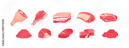 Set fragments of pork, beef meat. Assortment of meat slices.