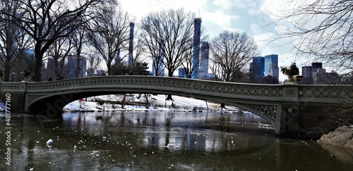 Puente en Cental Park Nueva York photo