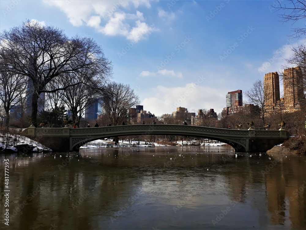 Central Park durante el invierno en Nueva York