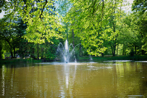 Lake with fountain at spa garden Bad Aibling  view through green branches at springtime.