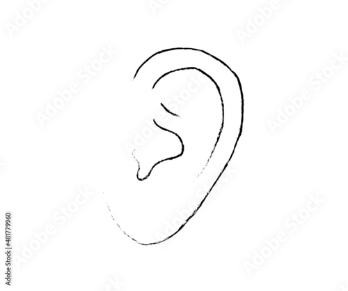 Human ear on a white background. Sketch. Vector illustration.