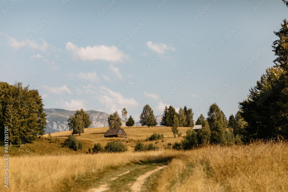 Iconic landscape in the Bucegi Mountains of Romania