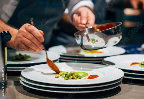 Professional chef arranging food plate with meat and vegetables