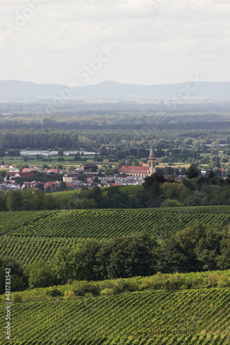 Weinberge, Rheinland, Germany. Typical German Landscape in Southern Germany in Summer.