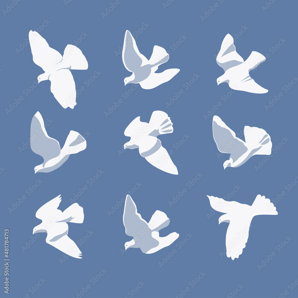 Fototapeta premium Pigeons, doves. Sign, symbol, drawing, vector illustration. Vector image of a flying bird, isolated design element.