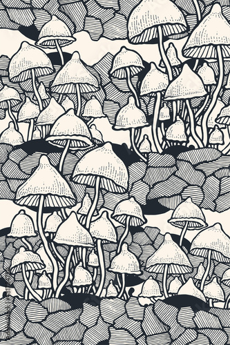 Hand-drawn Abstract Psychedelic Background With Psilocybin Hallucinogenic Magic Mushrooms. Engraving style. Vector illustration	