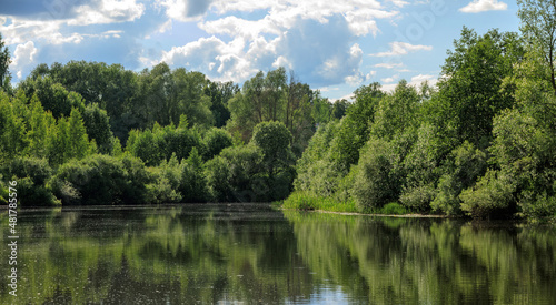 Daylight on a river  trees reflection in water. Summer landscape