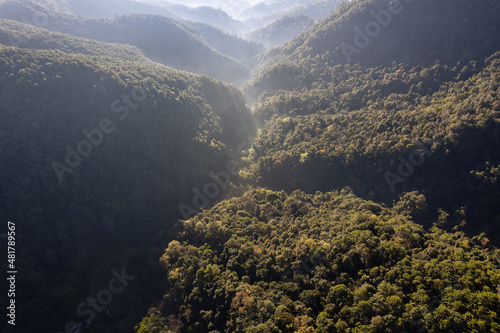 Lush green forest mountain with foggy and sunshine in tropical rainforest at national park in the morning