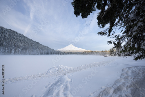 winter landscape with snow © Daniel