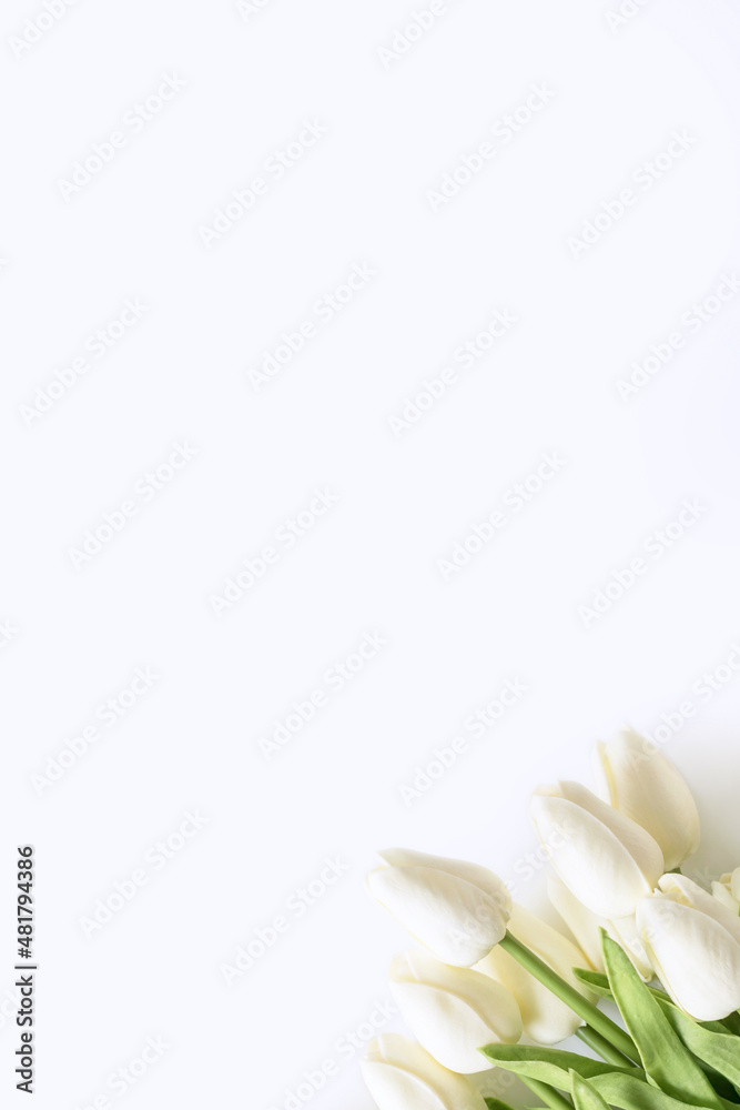 Fototapeta premium Tulips on white background. Valentines Day, Mothers day, Birthday, spring time. Celebration concept. Greeting card, template. Copy space, flat lay.