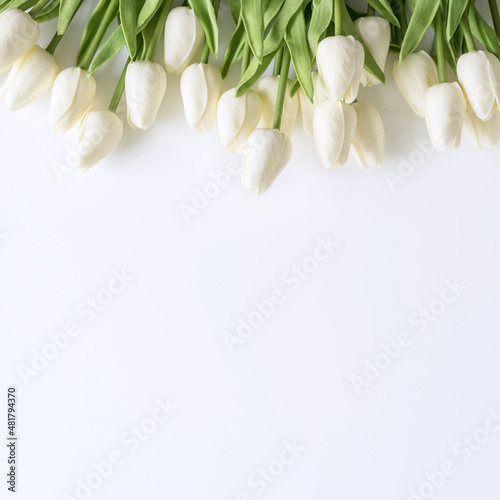 White tulips on white background. Valentines Day  Mothers day  Birthday  spring time. Celebration concept. Greeting card  template. Copy space  flat lay.