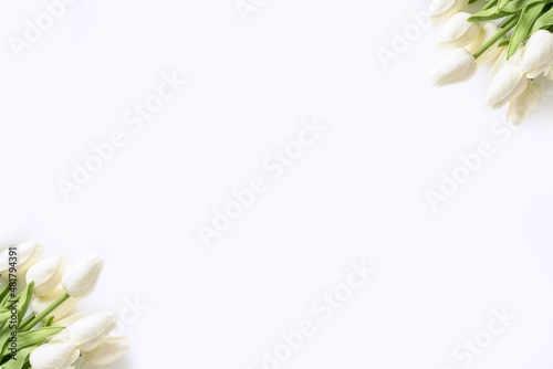 White tulips on white background. Valentines Day, Mothers day, Birthday, spring time. Celebration concept. Greeting card, template. Copy space, flat lay.