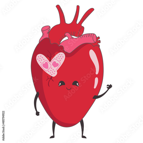 Vector illustration of a cute anatomical heart with a face with a band-aid. Valentine's day concept character in love  broken heart