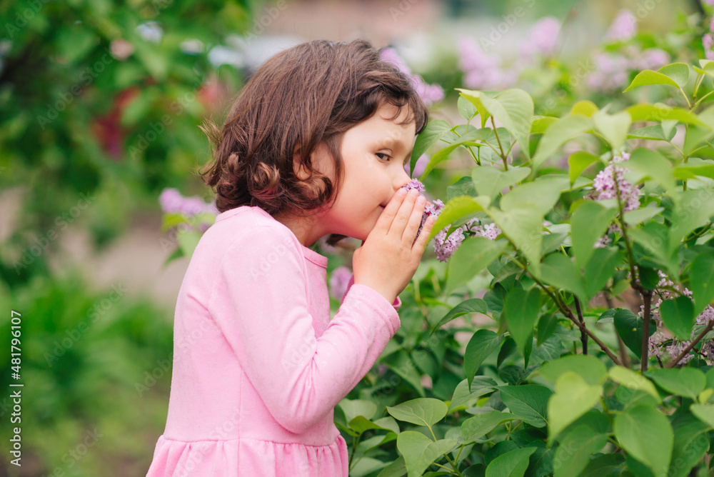Portrait of a cute little girl on a spring day outdoors in lilac flowers. Aromatherapy. Portrait of a cute little girl on a spring day outdoors in lilac flowers. Aromatherapy.