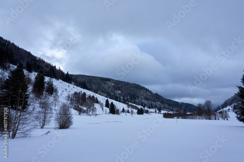 panorama winter landscape feldberg black forest germany