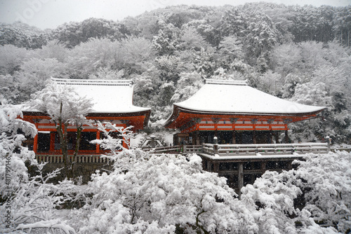 Wallpaper Mural 雪の清水寺　阿弥陀堂と奥の院　京都市東山区 Torontodigital.ca