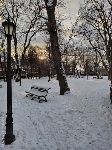 Apus  de soare in parcul din   Bistrita,Romania in januarie 2022 photo