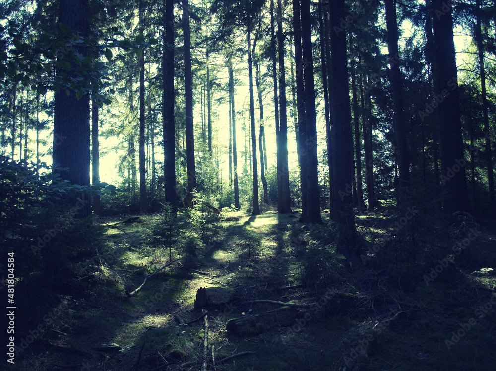 Obraz premium Licht und Schatten