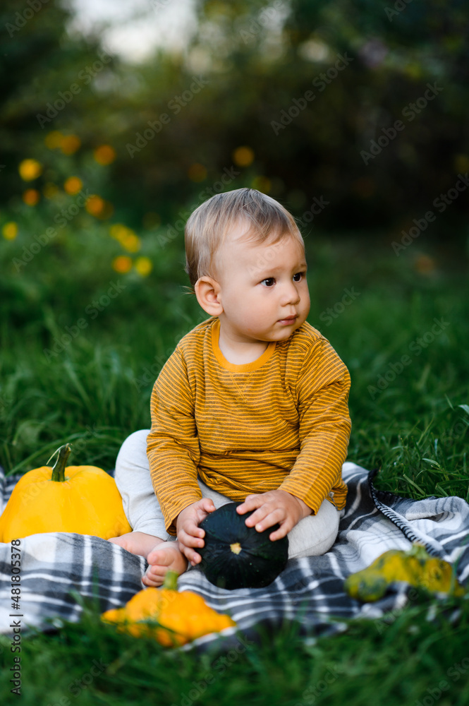 cute baby sitting in the grass with vegetables, harvest cute baby sitting in the grass with vegetables, harvest