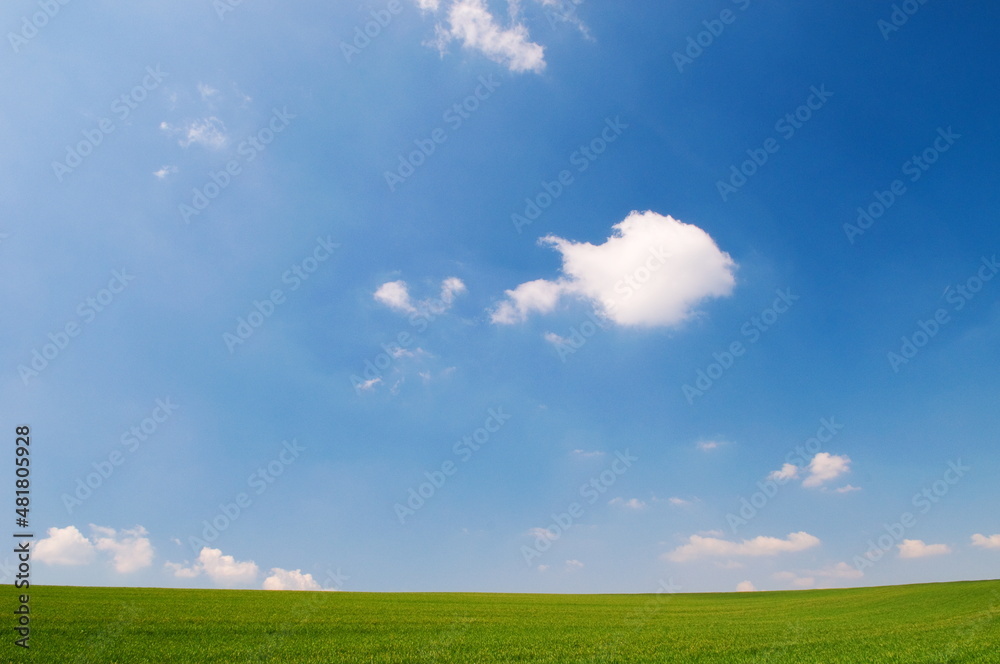 Green field in and blue sky with clouds