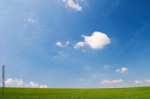Green field in and blue sky with clouds