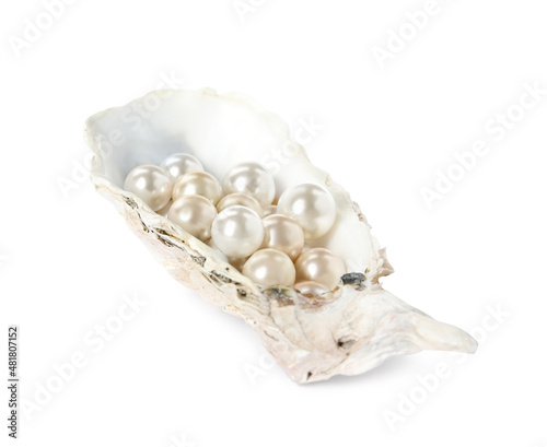 Oyster shell with different pearls on white background