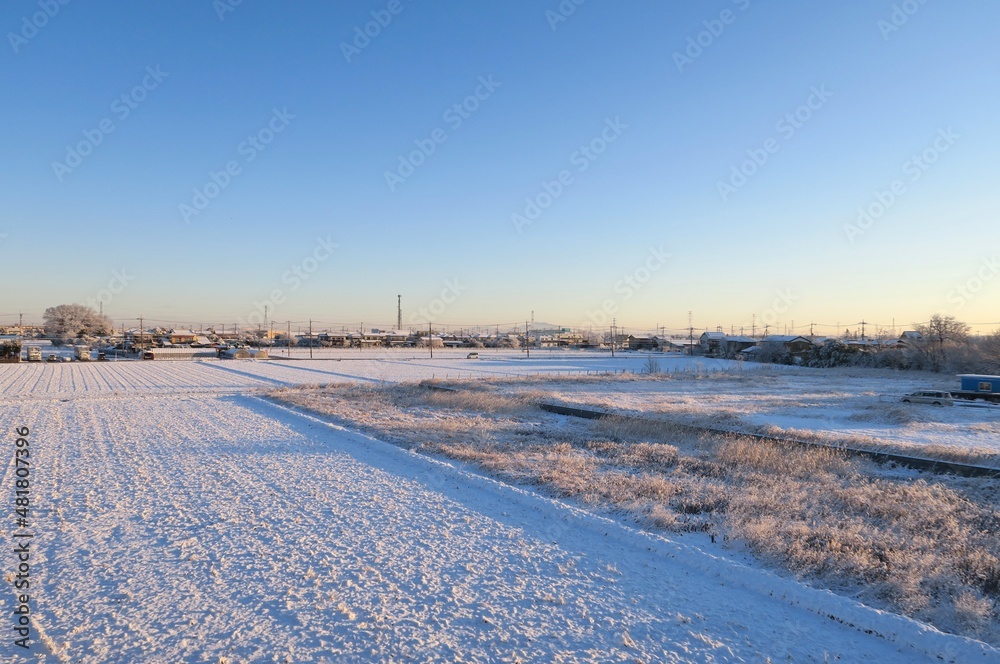 Rice paddy fields covered with snow in Kasukabe, Saitama, Japan. January 7, 2022 Rice paddy fields covered with snow in Kasukabe, Saitama, Japan. January 7, 2022