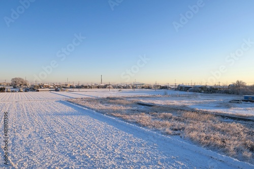 Rice paddy fields covered with snow in Kasukabe, Saitama, Japan. January 7, 2022