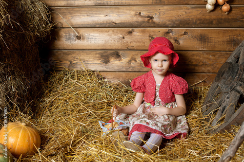 A girl with pies, a little girl in the village on the hay, at her grandmother's in the village, a girl with a basket of pies, children in the village, little red riding hood.