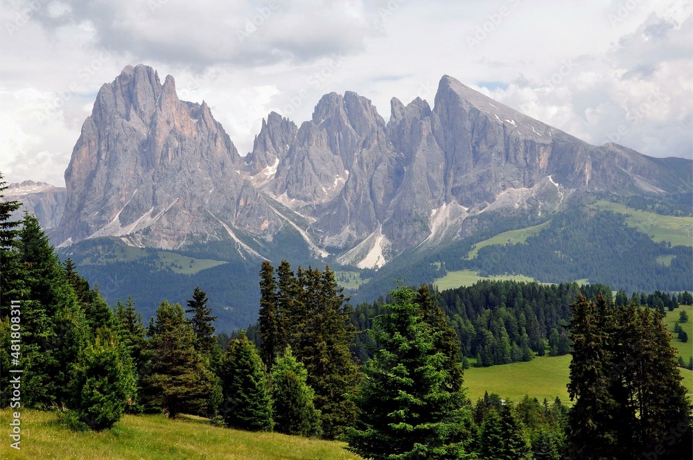 Fototapeta premium Seiseralm in den Dolomiten