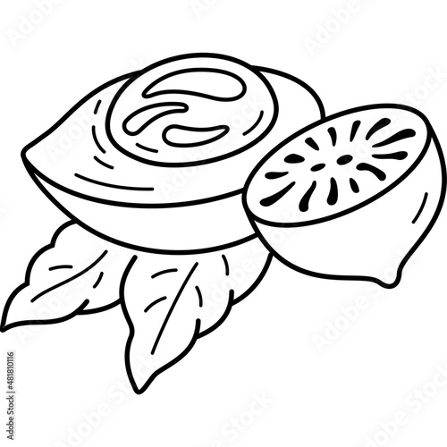 Nutmeg nut seed with leaves