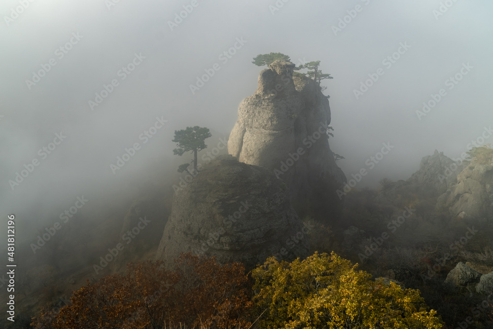 Φωτογραφία Morning fog in the Valley of Ghosts on the slopes of Demerdzhi Mountain